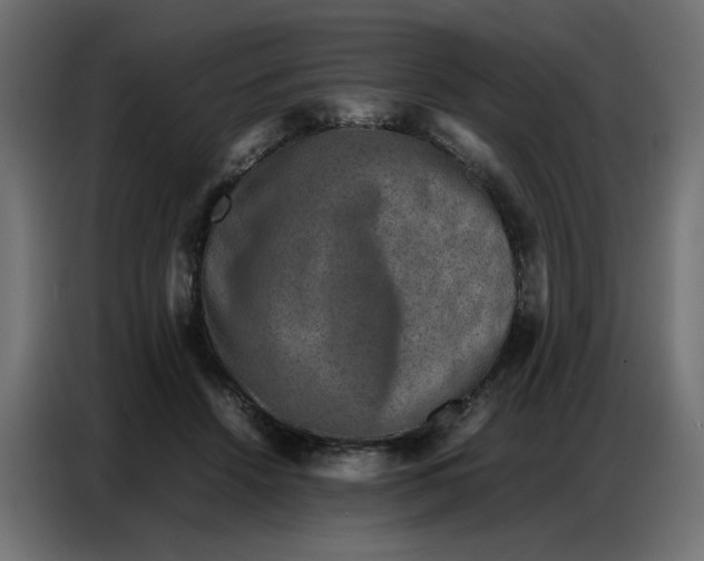 X0000086740456200705041411