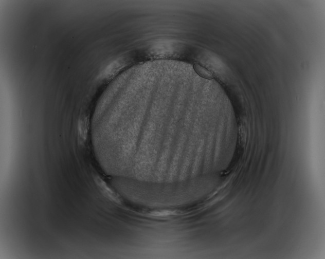 X0000086740458200705041411