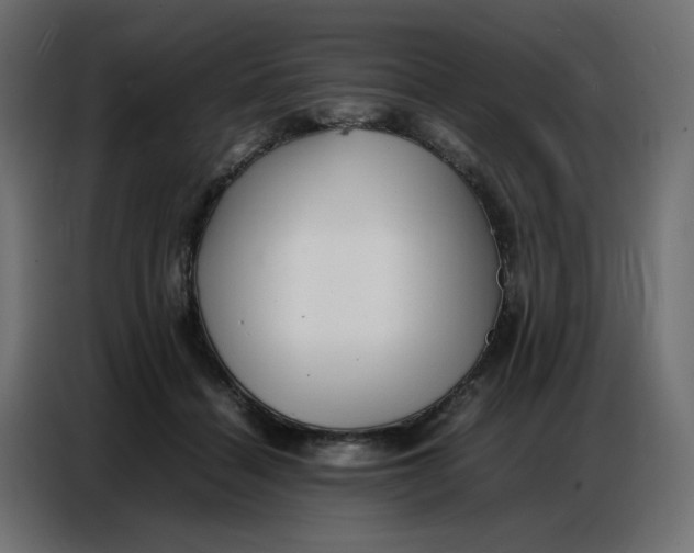 X0000086740460200705041411