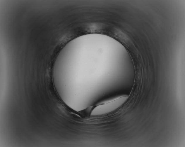 X0000086740461200705041411