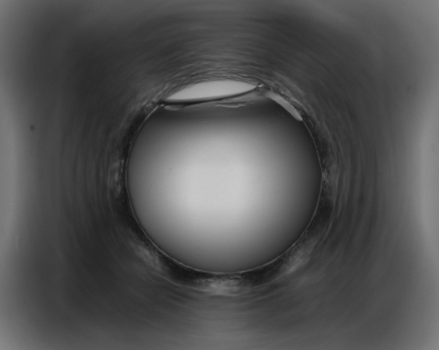 X0000086740462200705041411