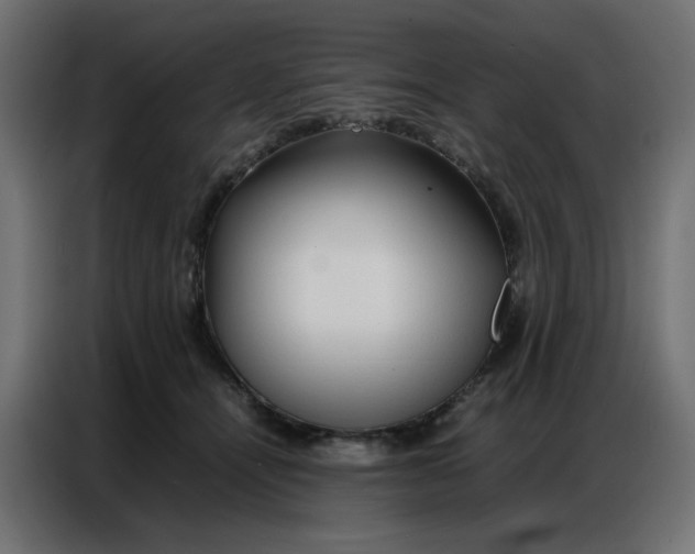 X0000086740464200705041411