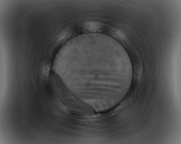 X0000086740465200705041411