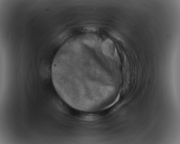 X0000086740467200705041411