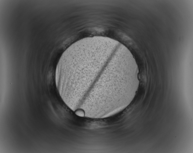 X0000086740468200705041411