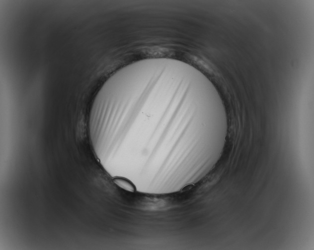 X0000086740469200705041411