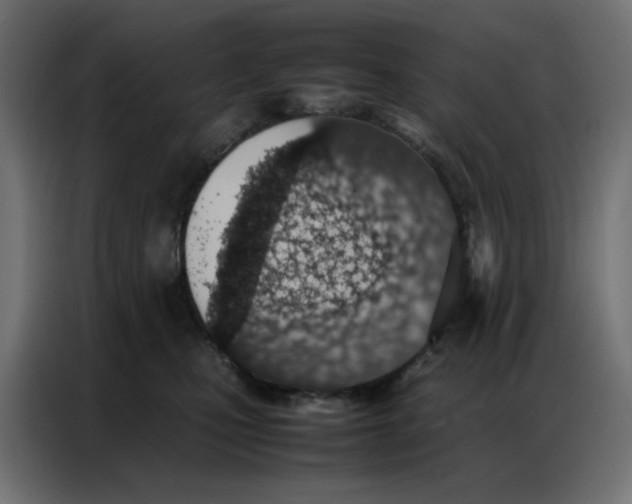 X0000086740471200705041411