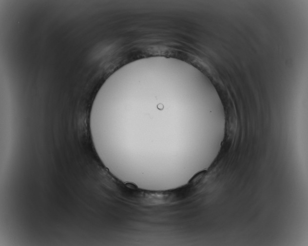 X0000086740473200705041411