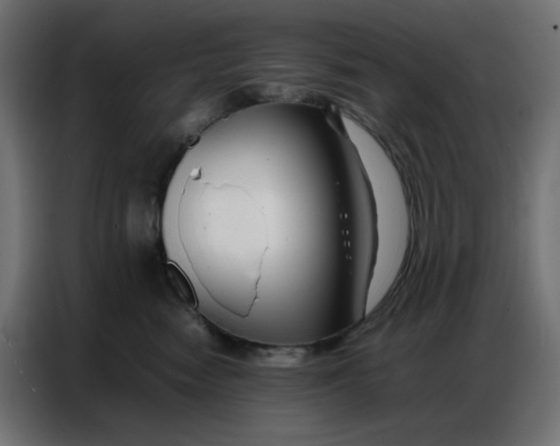 X0000086740474200705041411