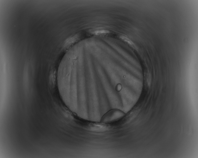 X0000086740475200705041411