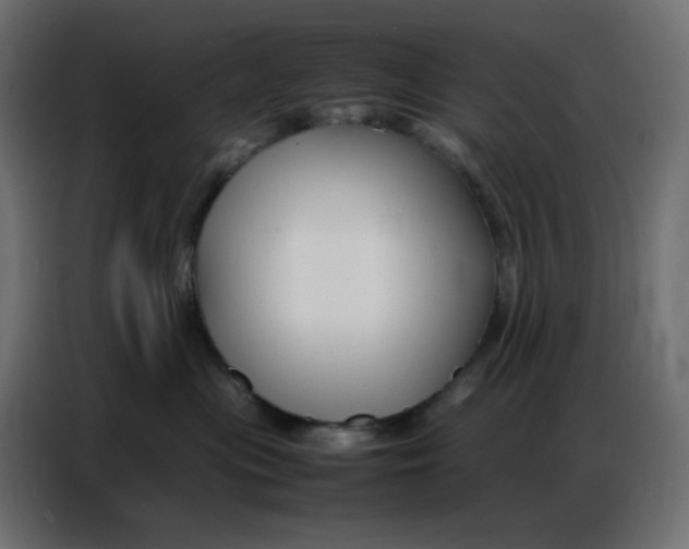 X0000086740477200705041411