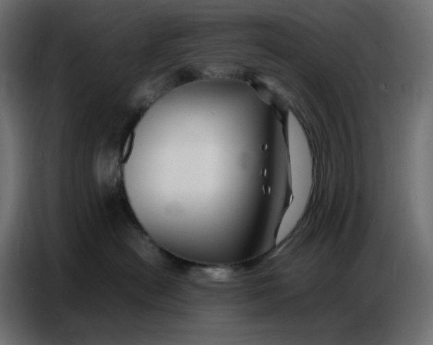 X0000086740478200705041411