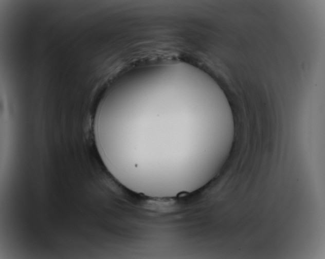 X0000086740480200705041411