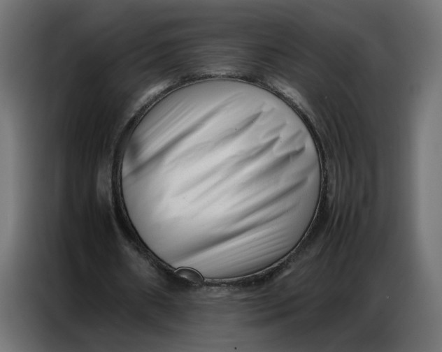 X0000086740482200705041410