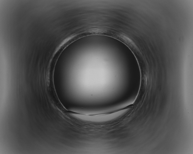 X0000086740484200705041410