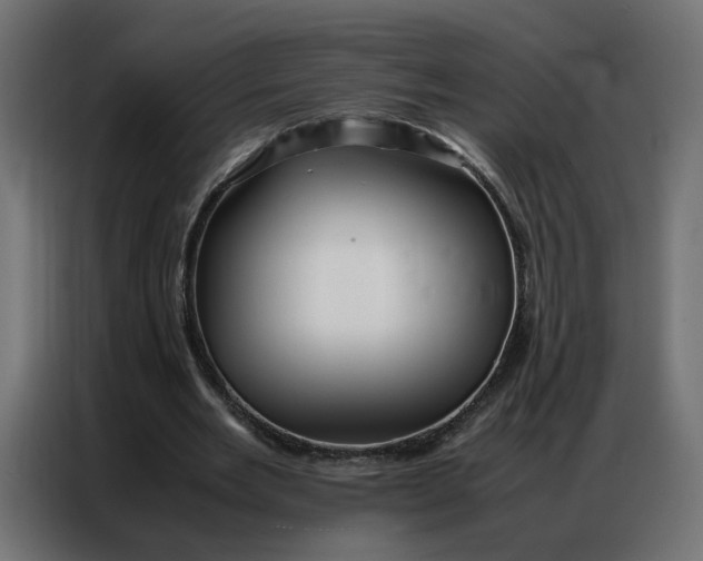 X0000086740485200705041410