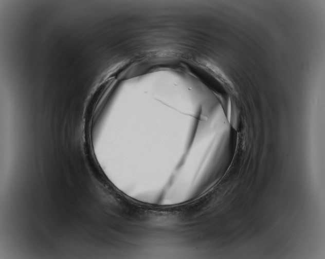 X0000086740486200705041410