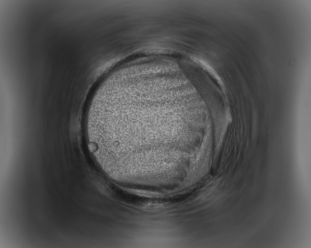 X0000086740487200705041410