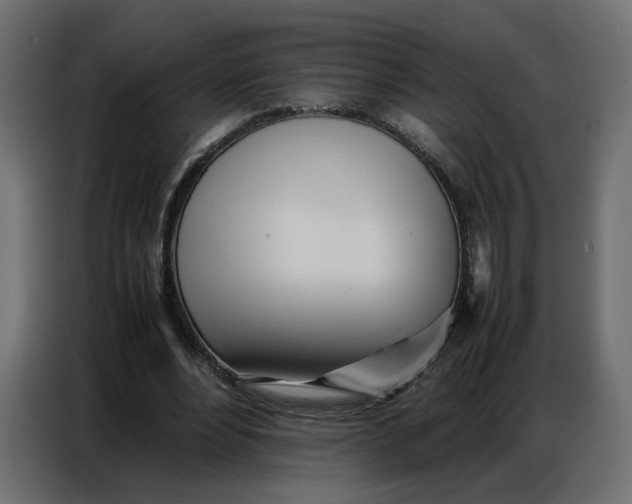 X0000086740488200705041410