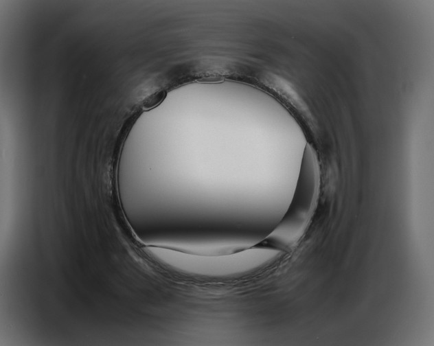 X0000086740489200705041410