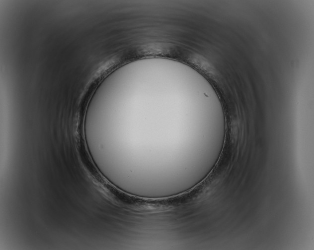 X0000086740490200705041410