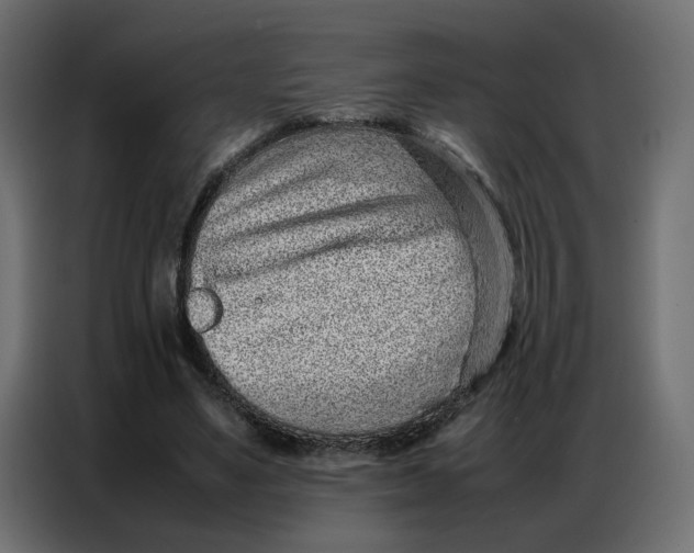 X0000086740491200705041410