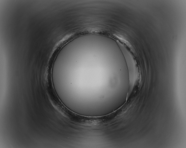 X0000086740492200705041410