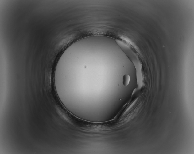 X0000086740493200705041410