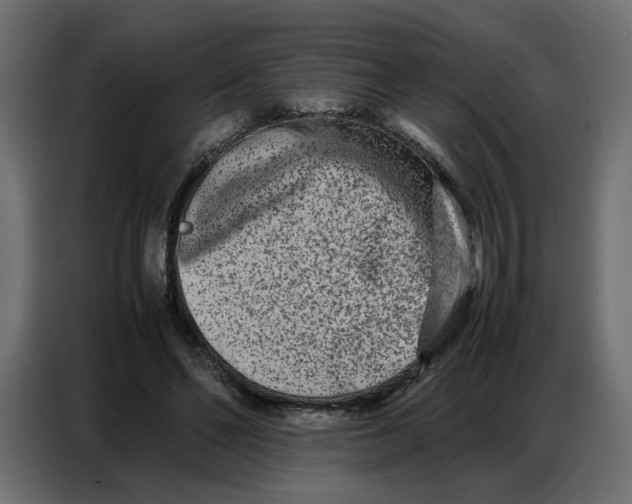 X0000086740494200705041410