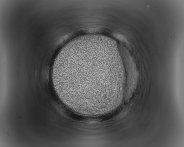 X0000086740495200705041410