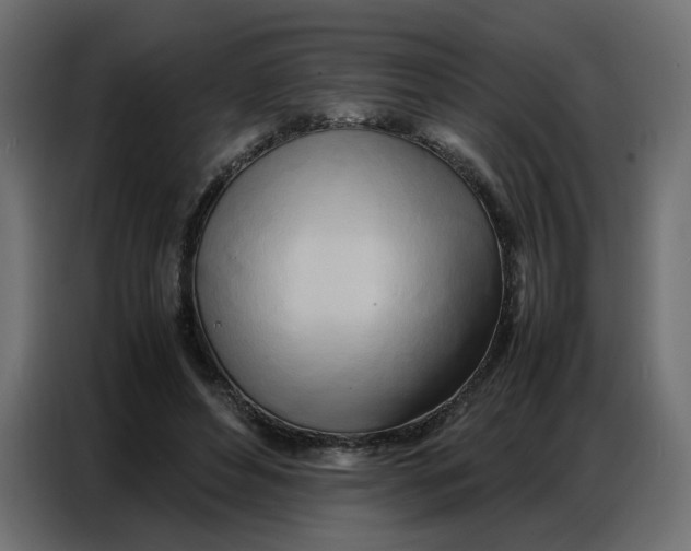 X0000086740496200705041410