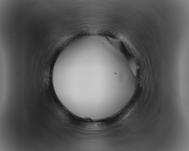 X0000086740497200705041410