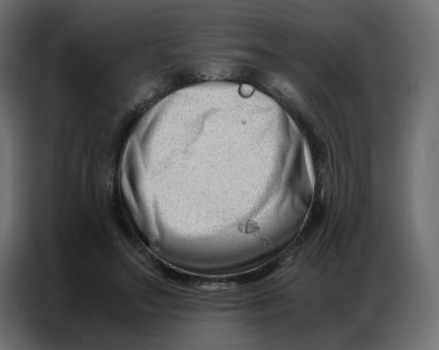 X0000086740499200705041410