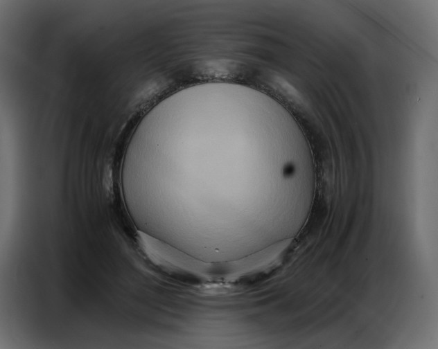 X0000086740500200705041410