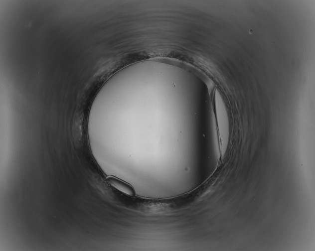 X0000086740501200705041410