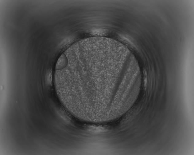 X0000086740502200705041410