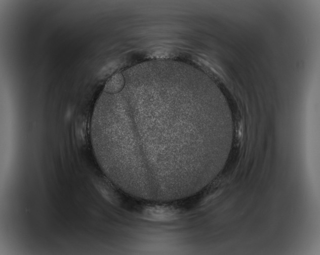 X0000086740503200705041410