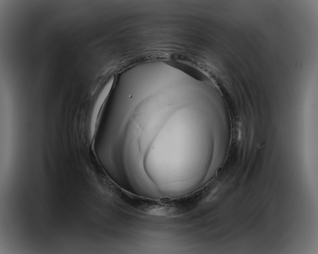 X0000086740504200705041410