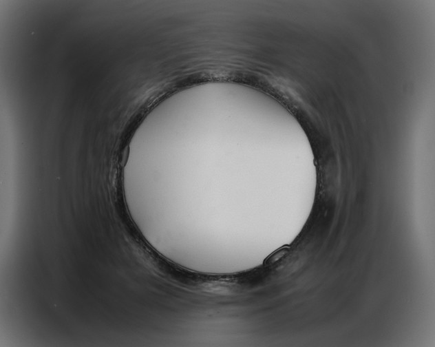 X0000086740505200705041410