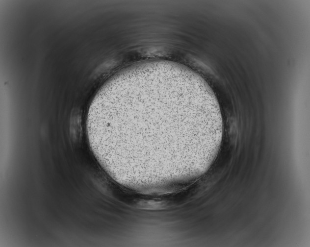 X0000086740506200705041410