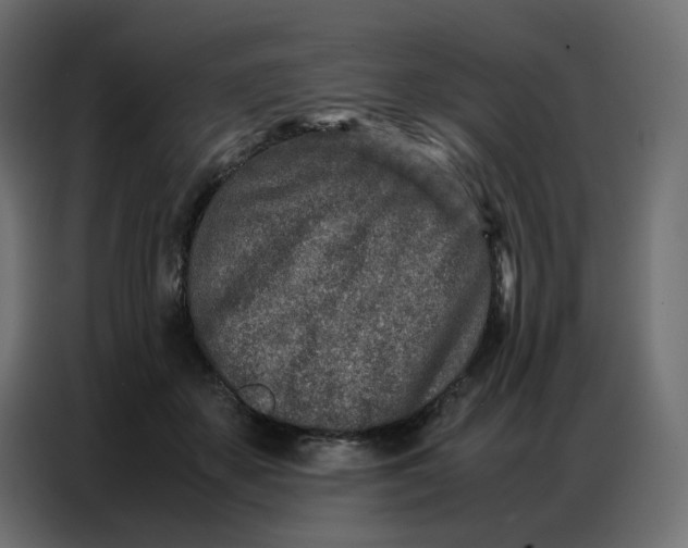 X0000086740507200705041410