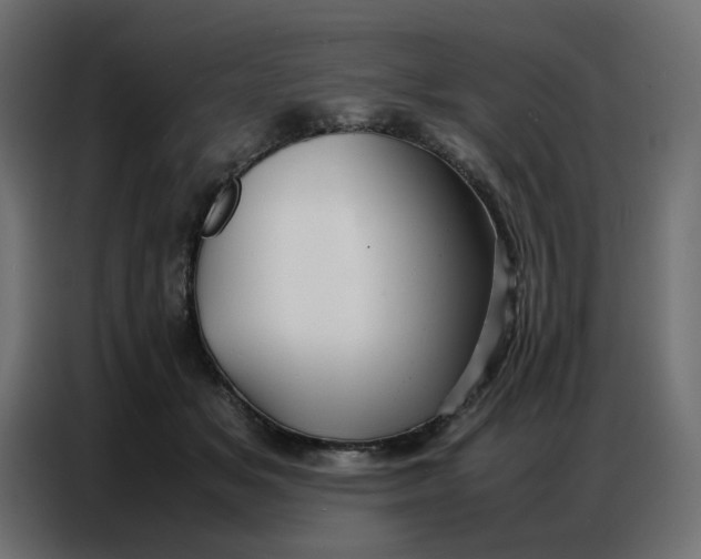 X0000086740509200705041410