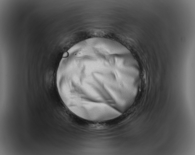 X0000086740511200705041410