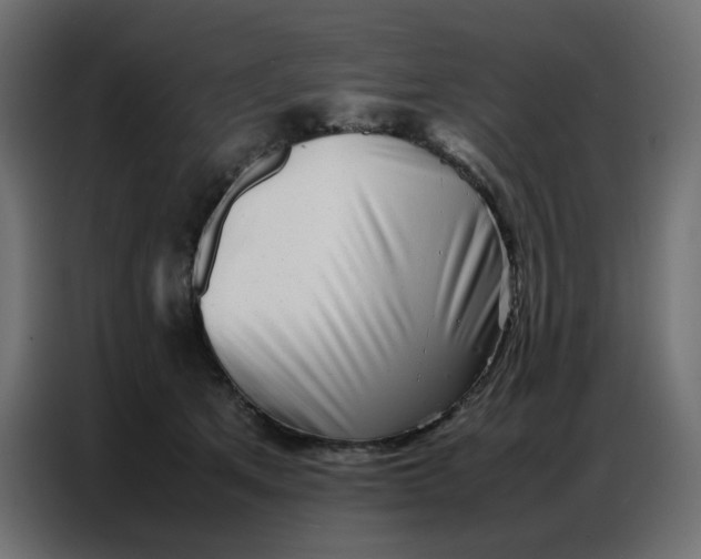 X0000086740513200705041410