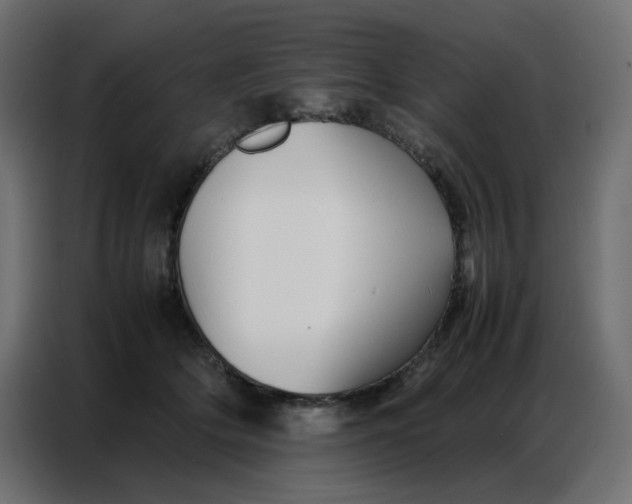 X0000086740514200705041410