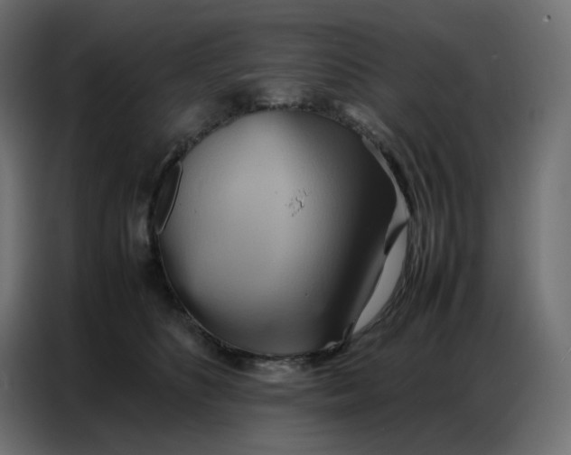 X0000086740516200705041410