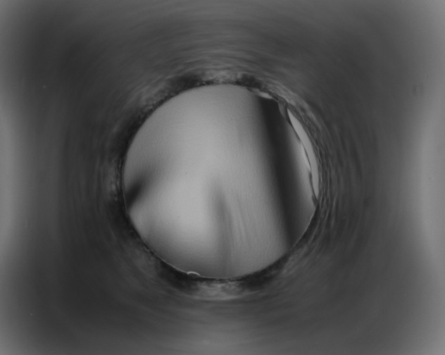 X0000086740517200705041410