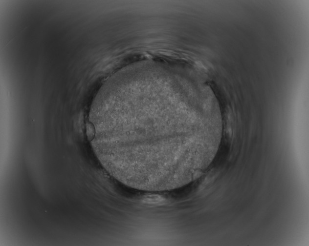 X0000086740519200705041410