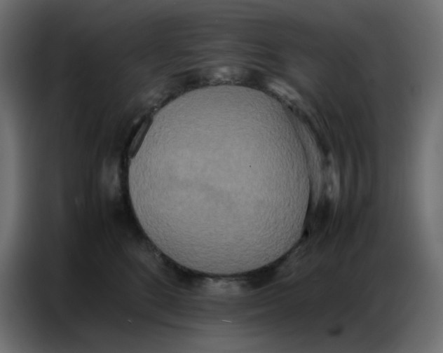 X0000086740520200705041410