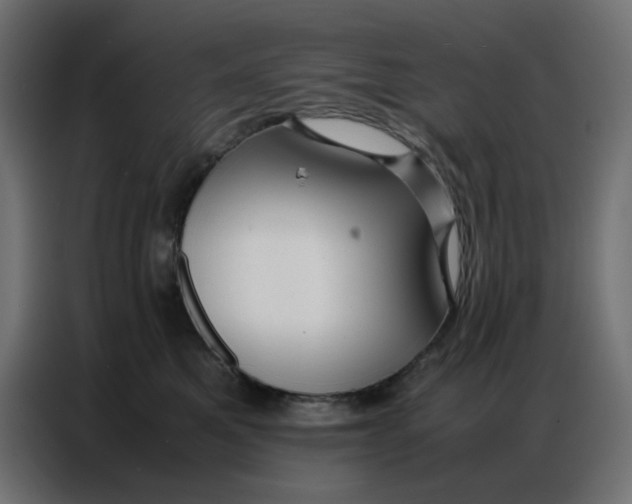 X0000086740521200705041410